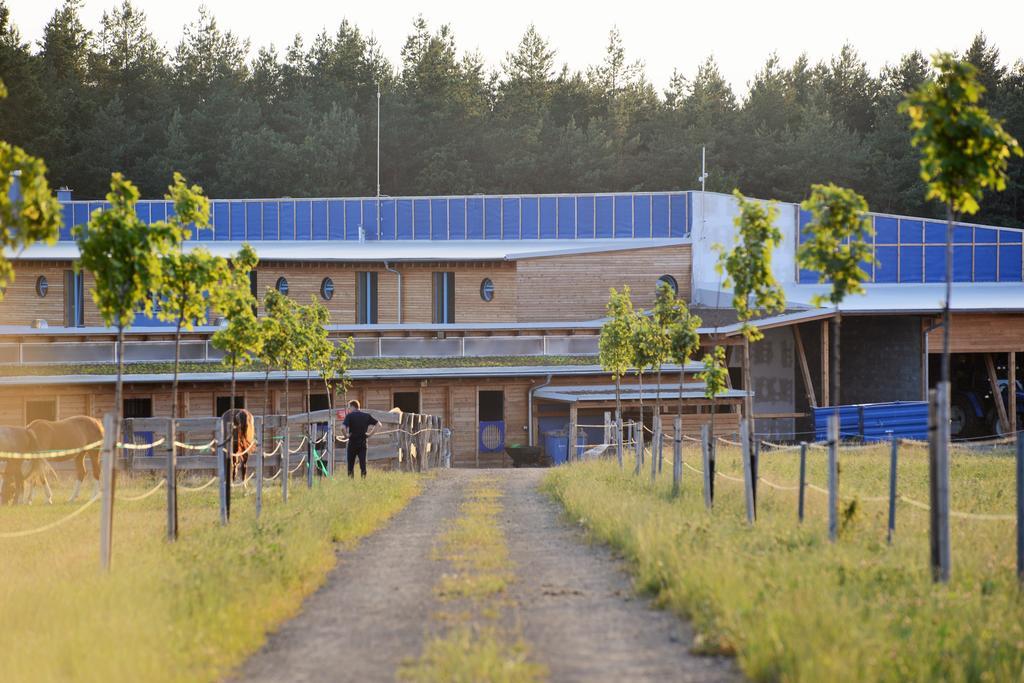 Farma Noe Guest House Brezina  Luaran gambar